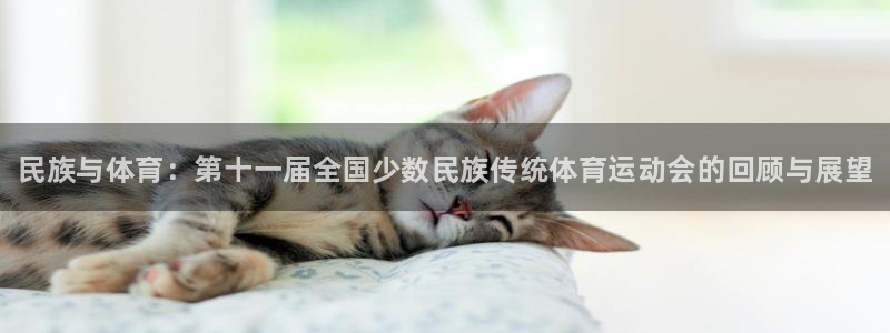 3377体育官方正版app开户：民族与体育：第十一届全国少数