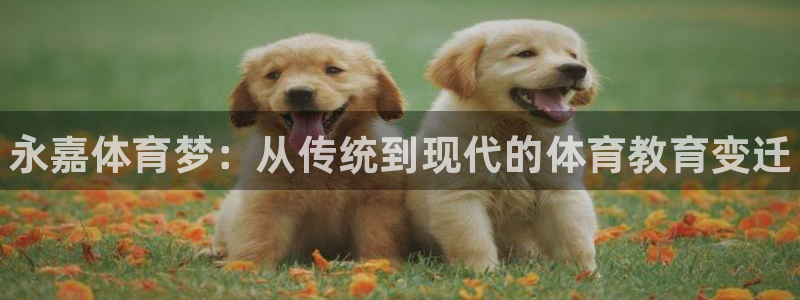 3377体育官网下载招商电话地址：永嘉体育梦：从传统