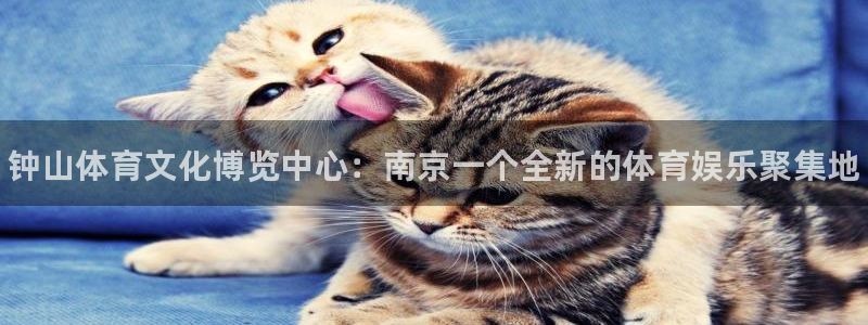 3377体育官方正版app集团官网网址：钟山体育文化