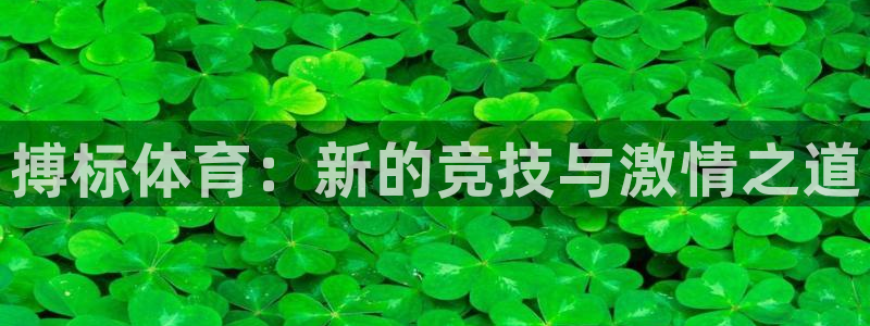 3377体育官网下载平台是正规平台吗知乎
