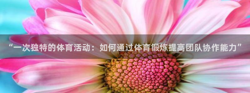 3377体育官网下载平台是正规平台吗知乎