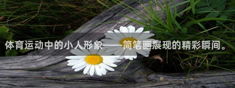 3377体育官方正版app集团