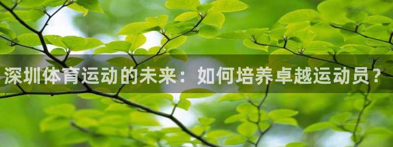 3377体育官网下载招商电话地址是多少