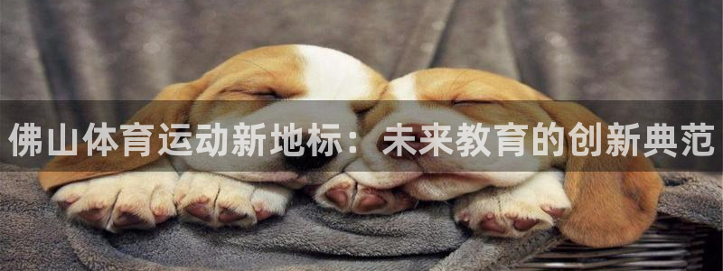 3377体育官网下载娱乐：佛山体育运动新地标：未来教