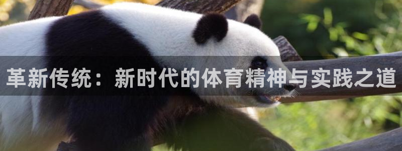 3377体育官网下载招商电话号码查询：革新传统：新时代的体育