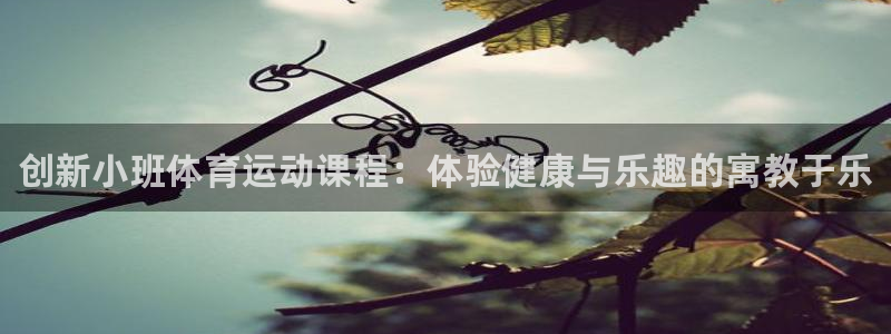 注册3377体育官方正版app：创新小班体育运动课程：体验健