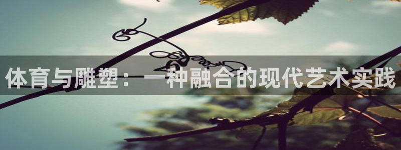 海南3377体育官网下载