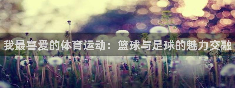 3377体育官方正版app官方