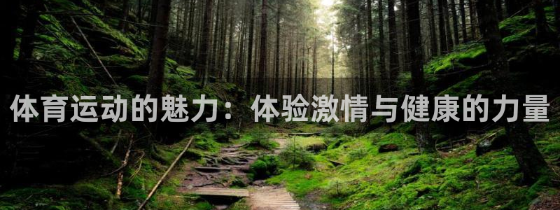 3377体育官方正版app娱乐代理怎么样