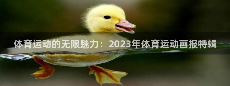  3377体育提款容易通过吗为什么：体育运动的无限魅力：202