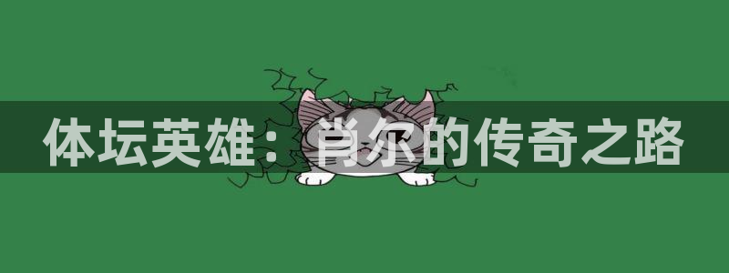 3377体育官网下载：体坛英雄：肖尔的传奇之路