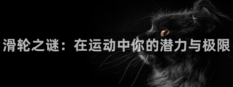  3377体育属于国家打击范围吗：滑轮之谜：在运动中你的潜力与
