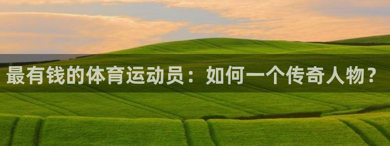 3377体育属于国家打击范围吗：最有钱的体育运动员：如何一个