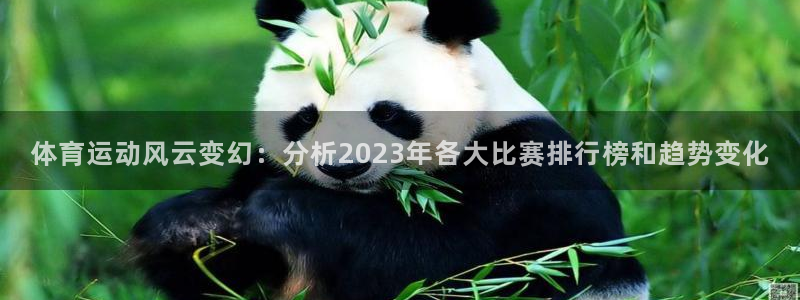  3377体育最厉害三个平台：体育运动风云变幻：分析2023年