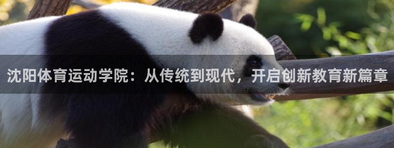  3377体育手机平台：沈阳体育运动学院：从传统到现代，开启创