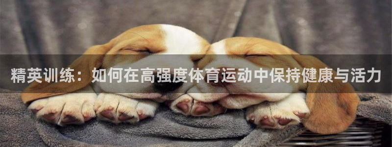 3377体育是哪的：精英训练：如何在高强度体育运动中保持健康