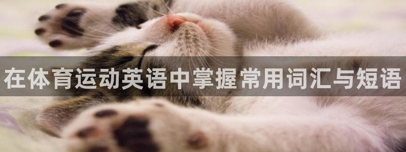 3377体育官网下载平台是正规平台吗知乎：在体育运动