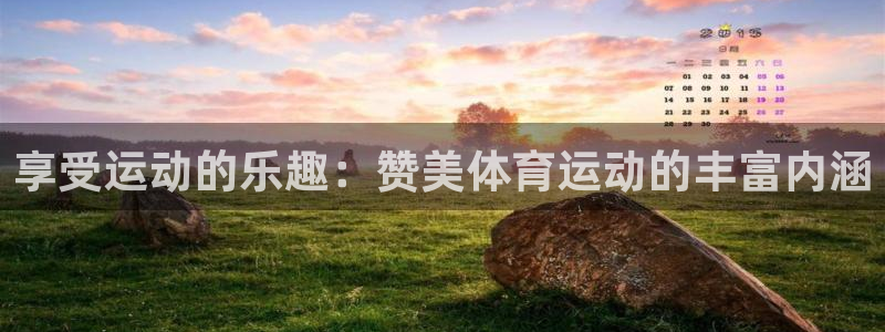 海南3377体育官网下载:享受运动的乐趣:赞美体育运动的丰富