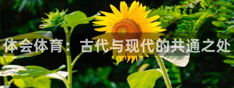 德国3377体育官方正版app集团：体会体育：古代与