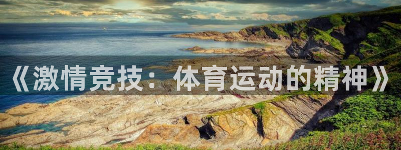 3377体育官方正版app神州