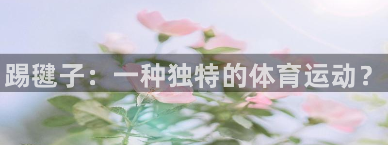 3377体育官方正版app五金厂:踢毽子:一种独特的体育运动