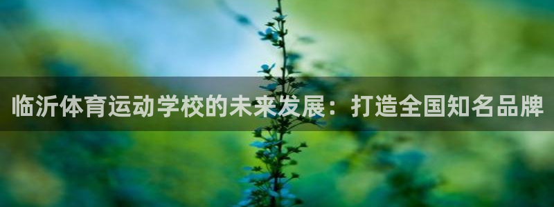 德国3377体育官方正版app集团:临沂体育运动学校的未来发
