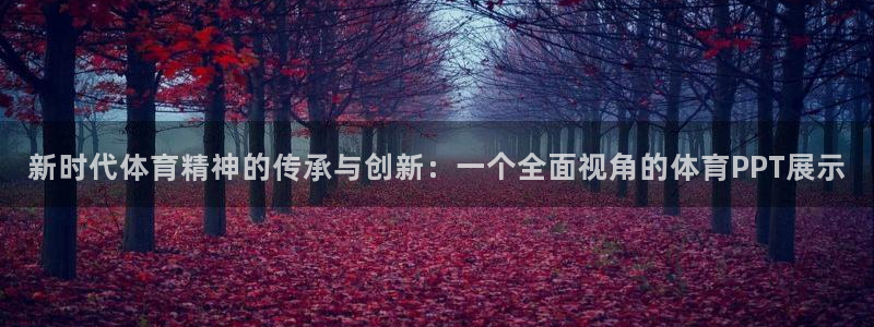 3377体育官方正版app集团:新时代体育精神的传承与创新: