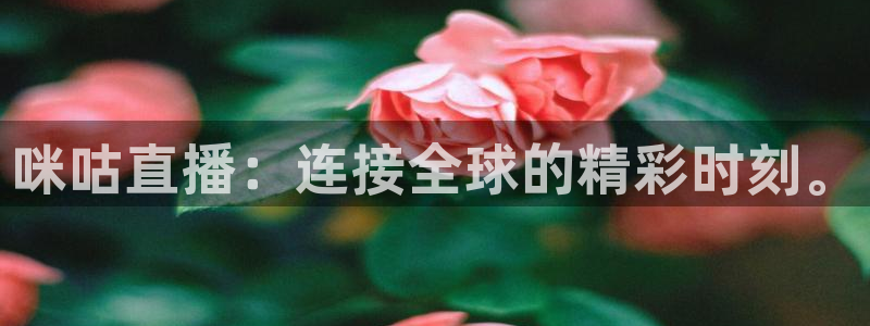 河豚体育在线直播：咪咕直播：连接全球的精彩时刻。