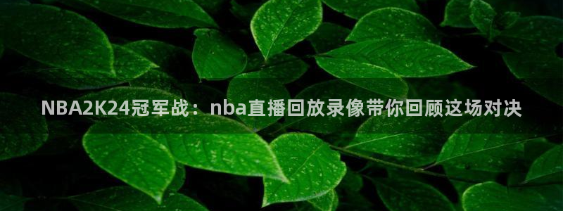 河豚河豚：NBA2K24冠军战：nba直播回放录像带你回顾这场对决