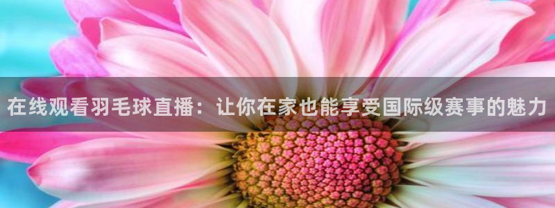 河豚直播nba免费观看：在线观看羽毛球直播：让你在家也能享受国际级赛事的魅力