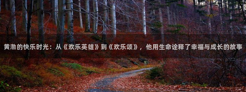 河豚体育nba直播：黄渤的快乐时光：从《欢乐英雄》到《欢乐颂》，他用生命诠释了幸福与成长的故事
