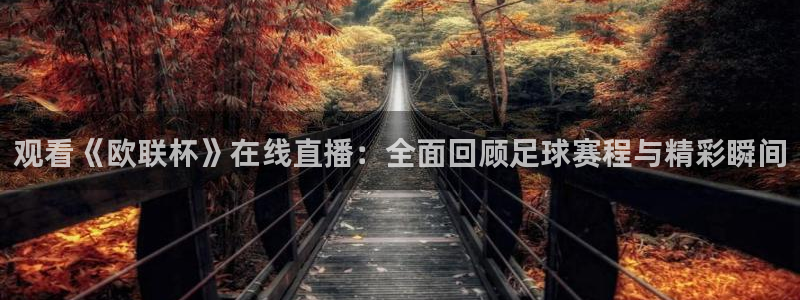河豚体育直播网：观看《欧联杯》在线直播：全面回顾足球赛程与精彩瞬间