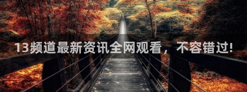 河豚体育app下载：13频道最新资讯全网观看，不容错过!