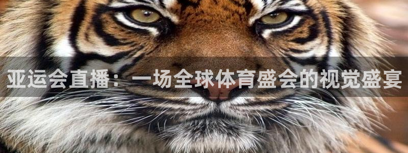 河豚体育直播免费