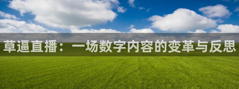 河豚体育足球直播