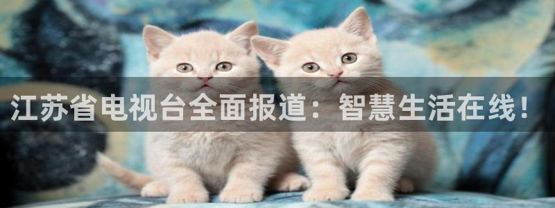 河豚体育直播app