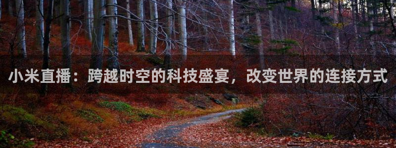 河豚nba篮球直播在线观看：小米直播：跨越时空的科技盛宴，改变世界的连接方式